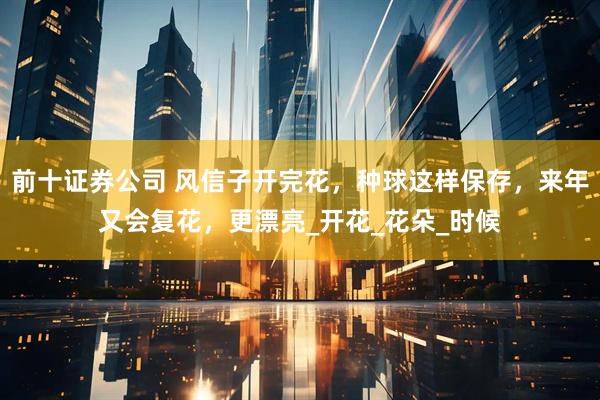 前十证券公司 风信子开完花，种球这样保存，来年又会复花，更漂亮_开花_花朵_时候